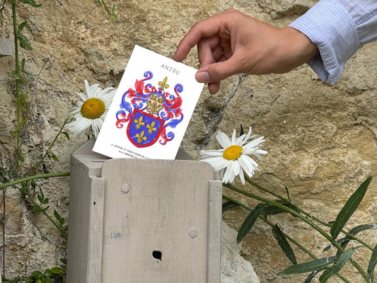 l'art d'aimée